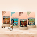 BIOlive Crème Capillaire